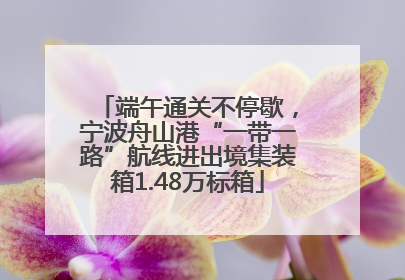 端午通关不停歇，宁波舟山港“一带一路”航线进出境集装箱1.48万标箱