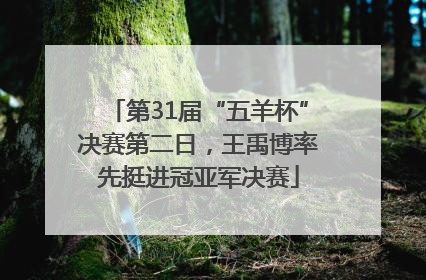 第31届“五羊杯”决赛第二日，王禹博率先挺进冠亚军决赛