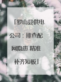 罗山县供电公司：排查配网隐患 精准补齐短板