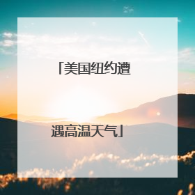 美国纽约遭遇高温天气