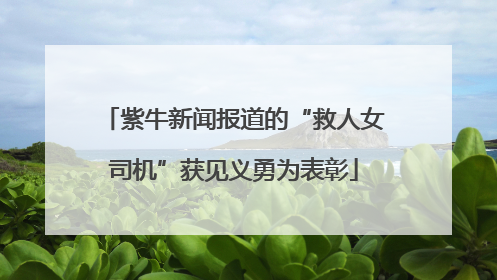 紫牛新闻报道的“救人女司机”获见义勇为表彰