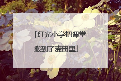 红光小学把课堂搬到了麦田里