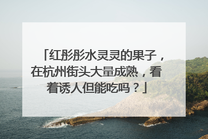 红彤彤水灵灵的果子，在杭州街头大量成熟，看着诱人但能吃吗？