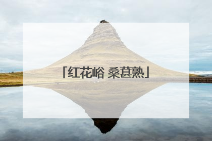 红花峪 桑葚熟