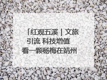 红观五溪｜文旅引流 科技增值 看一颗杨梅在靖州的“商业觉醒”