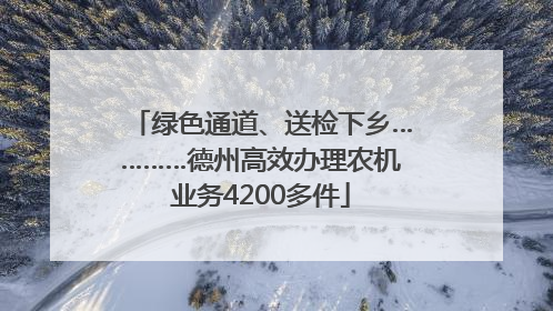 绿色通道、送检下乡…………德州高效办理农机业务4200多件