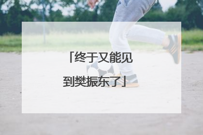 终于又能见到樊振东了