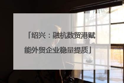 绍兴：融杭数贸港赋能外贸企业稳量提质