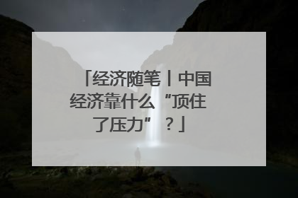 经济随笔丨中国经济靠什么“顶住了压力”？