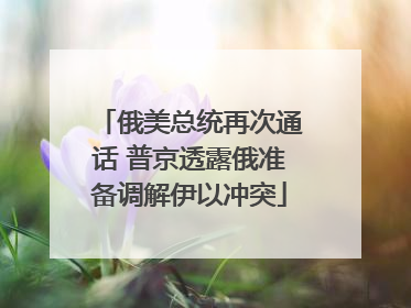 俄美总统再次通话 普京透露俄准备调解伊以冲突