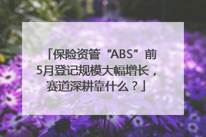 保险资管“ABS”前5月登记规模大幅增长，赛道深耕靠什么？