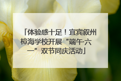 体验感十足！宜宾叙州樟海学校开展“端午·六一”双节同庆活动