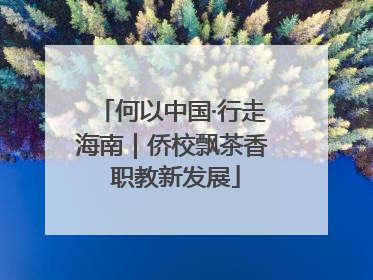 何以中国·行走海南｜侨校飘茶香 职教新发展
