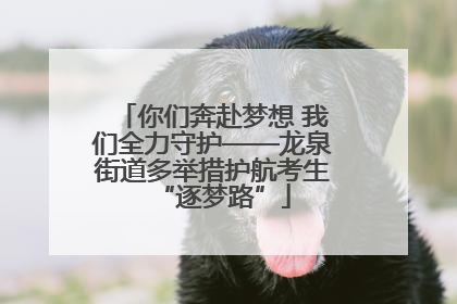 你们奔赴梦想 我们全力守护——龙泉街道多举措护航考生“逐梦路”