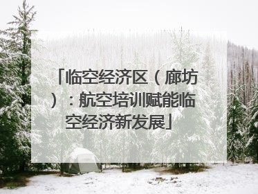 临空经济区（廊坊）：航空培训赋能临空经济新发展