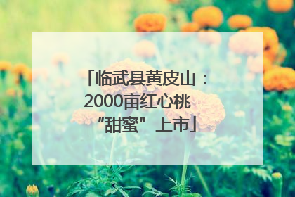 临武县黄皮山：2000亩红心桃“甜蜜”上市