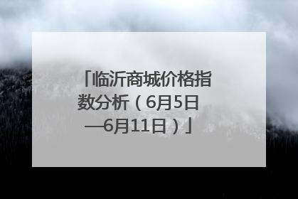 临沂商城价格指数分析（6月5日—6月11日）