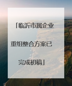 临沂市属企业重组整合方案已完成初稿