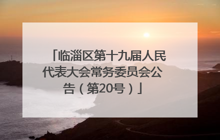 临淄区第十九届人民代表大会常务委员会公告（第20号）