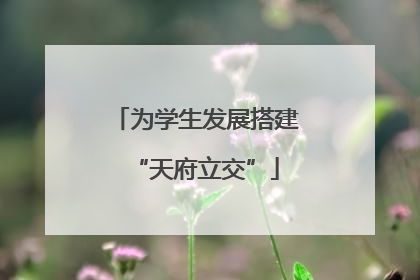 为学生发展搭建“天府立交”