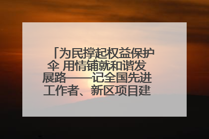 为民撑起权益保护伞 用情铺就和谐发展路——记全国先进工作者、新区项目建设中心干部卢小勇