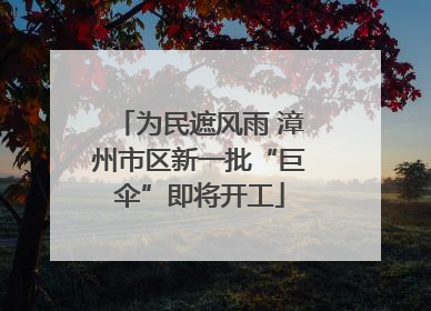 为民遮风雨 漳州市区新一批“巨伞”即将开工