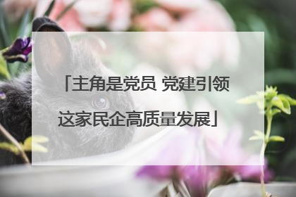 主角是党员 党建引领这家民企高质量发展