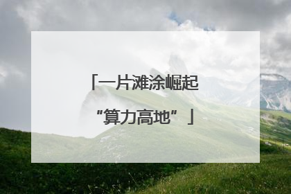 一片滩涂崛起“算力高地”