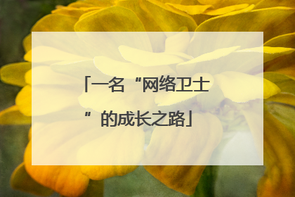 一名“网络卫士”的成长之路