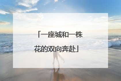 一座城和一株花的双向奔赴