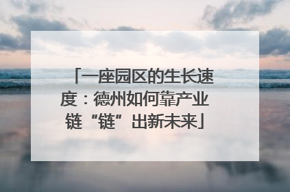 一座园区的生长速度：德州如何靠产业链“链”出新未来