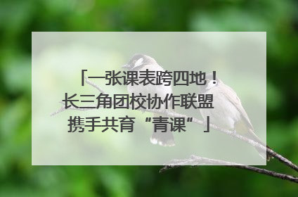 一张课表跨四地！长三角团校协作联盟携手共育“青课”