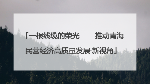 一根线缆的荣光——推动青海民营经济高质量发展·新视角