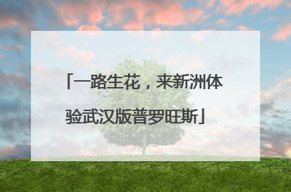 一路生花，来新洲体验武汉版普罗旺斯