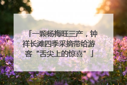 一颗杨梅旺三产，钟祥长滩四季采摘带给游客“舌尖上的惊喜”