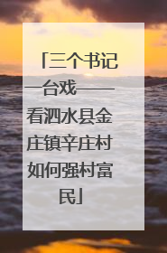 三个书记一台戏——看泗水县金庄镇辛庄村如何强村富民