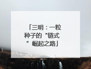 三明：一粒种子的“链式”崛起之路