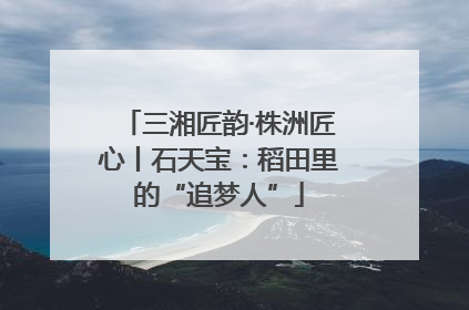 三湘匠韵·株洲匠心丨石天宝：稻田里的“追梦人”