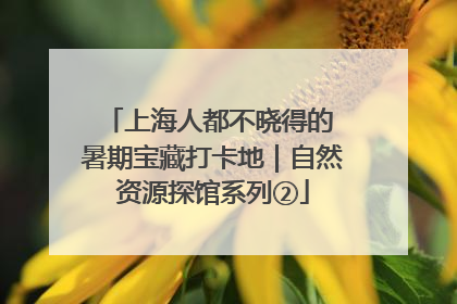 上海人都不晓得的 暑期宝藏打卡地｜自然资源探馆系列②
