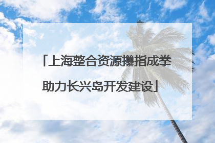 上海整合资源攥指成拳助力长兴岛开发建设