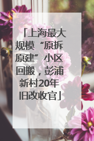 上海最大规模“原拆原建”小区回搬，彭浦新村20年旧改收官