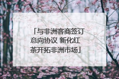 与非洲客商签订意向协议 新化红茶开拓非洲市场