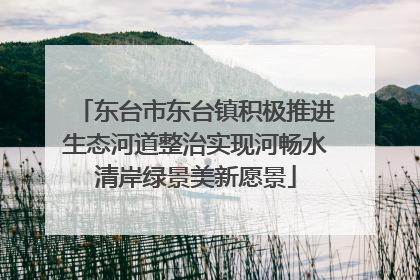 东台市东台镇积极推进生态河道整治实现河畅水清岸绿景美新愿景