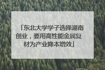 东北大学学子选择湖南创业，要用高性能金属复材为产业降本增效