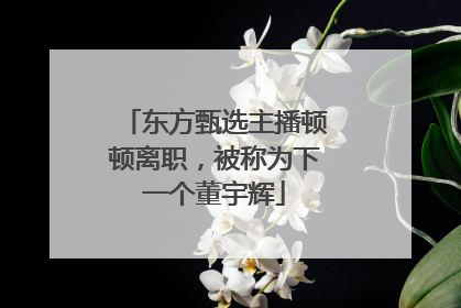 东方甄选主播顿顿离职，被称为下一个董宇辉