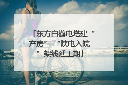 东方白鹳电塔建“产房” “陕电入皖”架线延工期