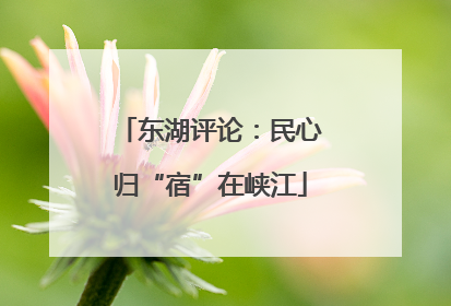 东湖评论：民心归“宿”在峡江