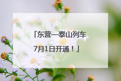 东营—泰山列车7月1日开通！
