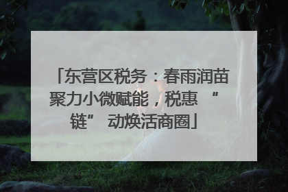东营区税务：春雨润苗聚力小微赋能，税惠 “链” 动焕活商圈