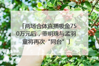 两场合体直播吸金750万元后，董明珠与孟羽童将再次“同台”